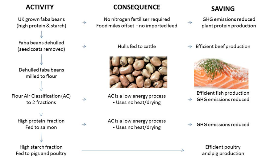 A flow-diagram summary of the beans4feeds project and air classification (AC)